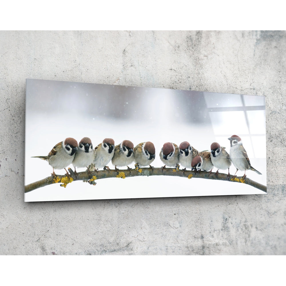 Birds Glass Wall Art (92x36 cm)