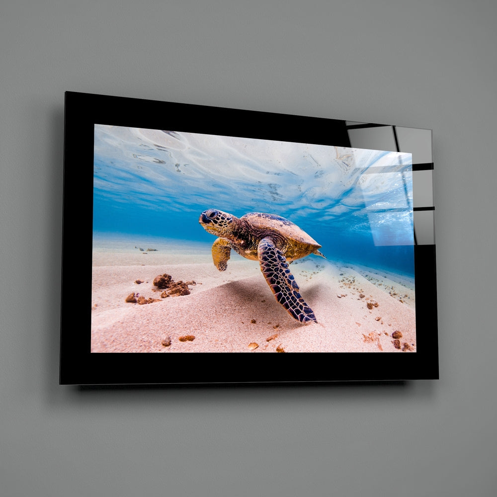 Turtle Glass Wall Art